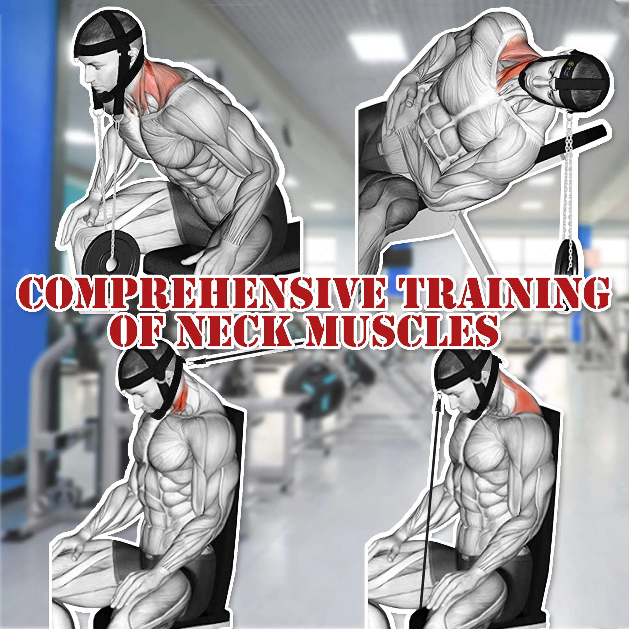 Head Neck Harness for Weight Lifting