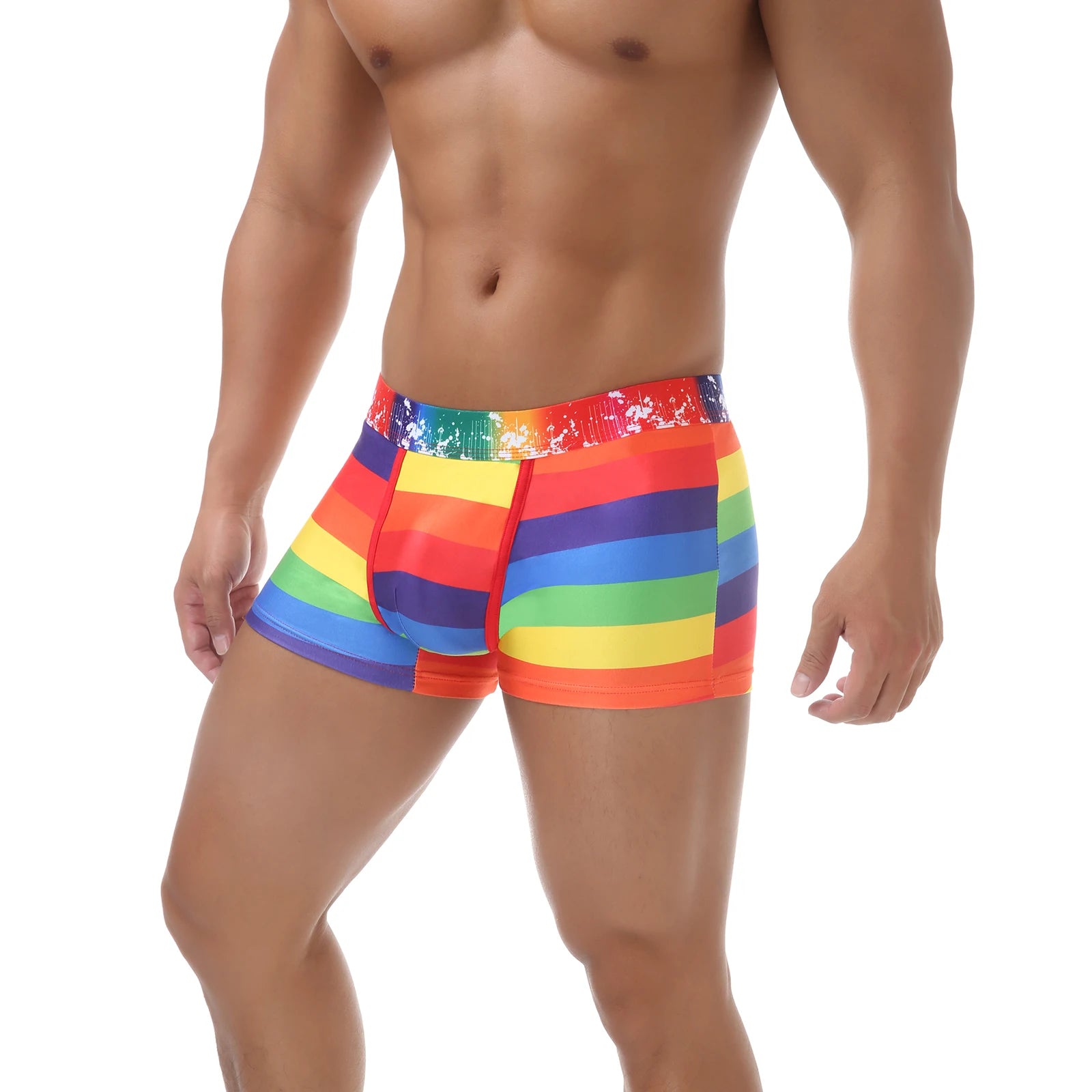 Men's Rainbow Swimwear Sexy Comfortable Polyamide Knit Trunks