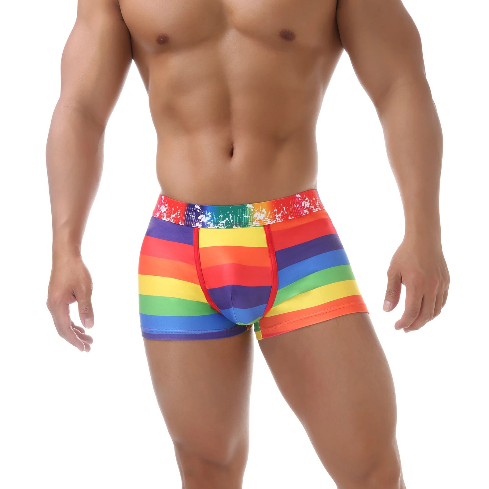 Men's Rainbow Swimwear Sexy Comfortable Polyamide Knit Trunks