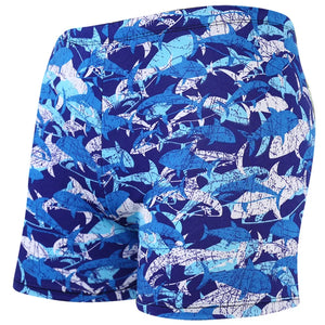 Men's 2025 Swimming Shorts