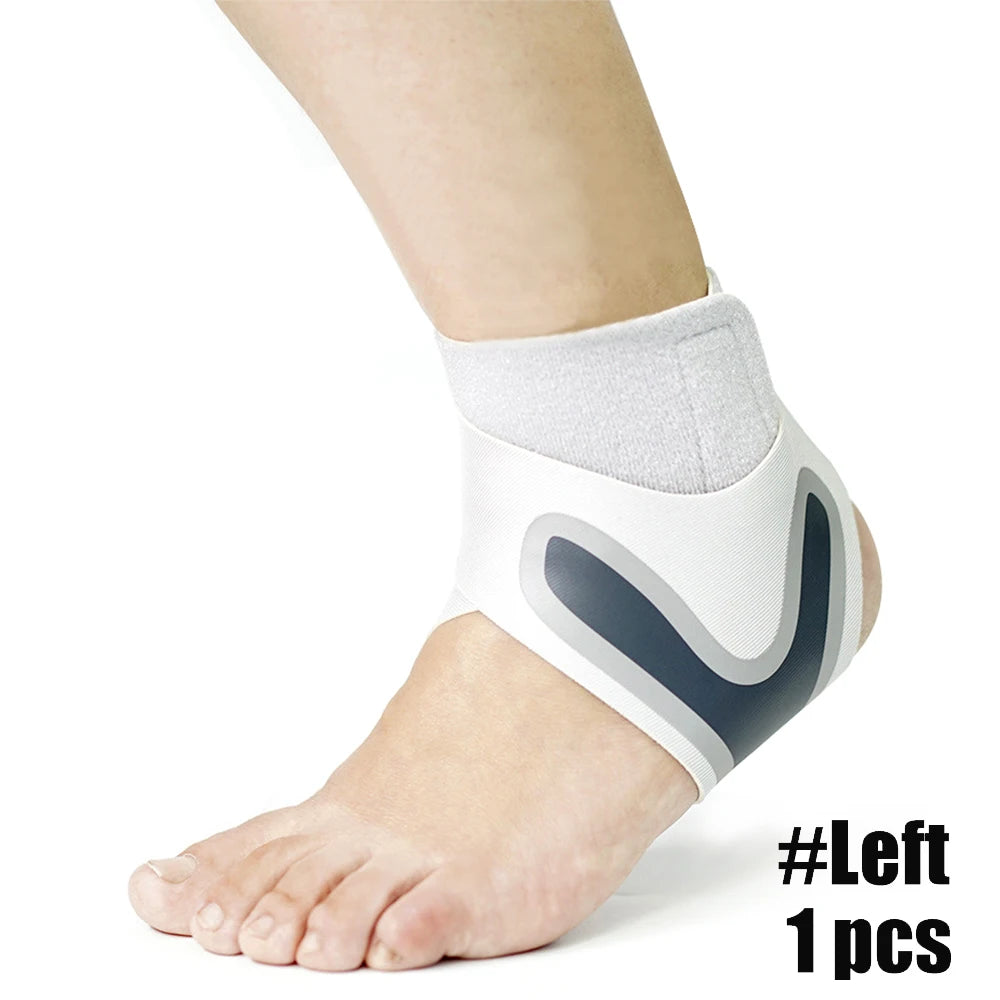 48050786959675|48050786992443|48050787156283|48050787189051