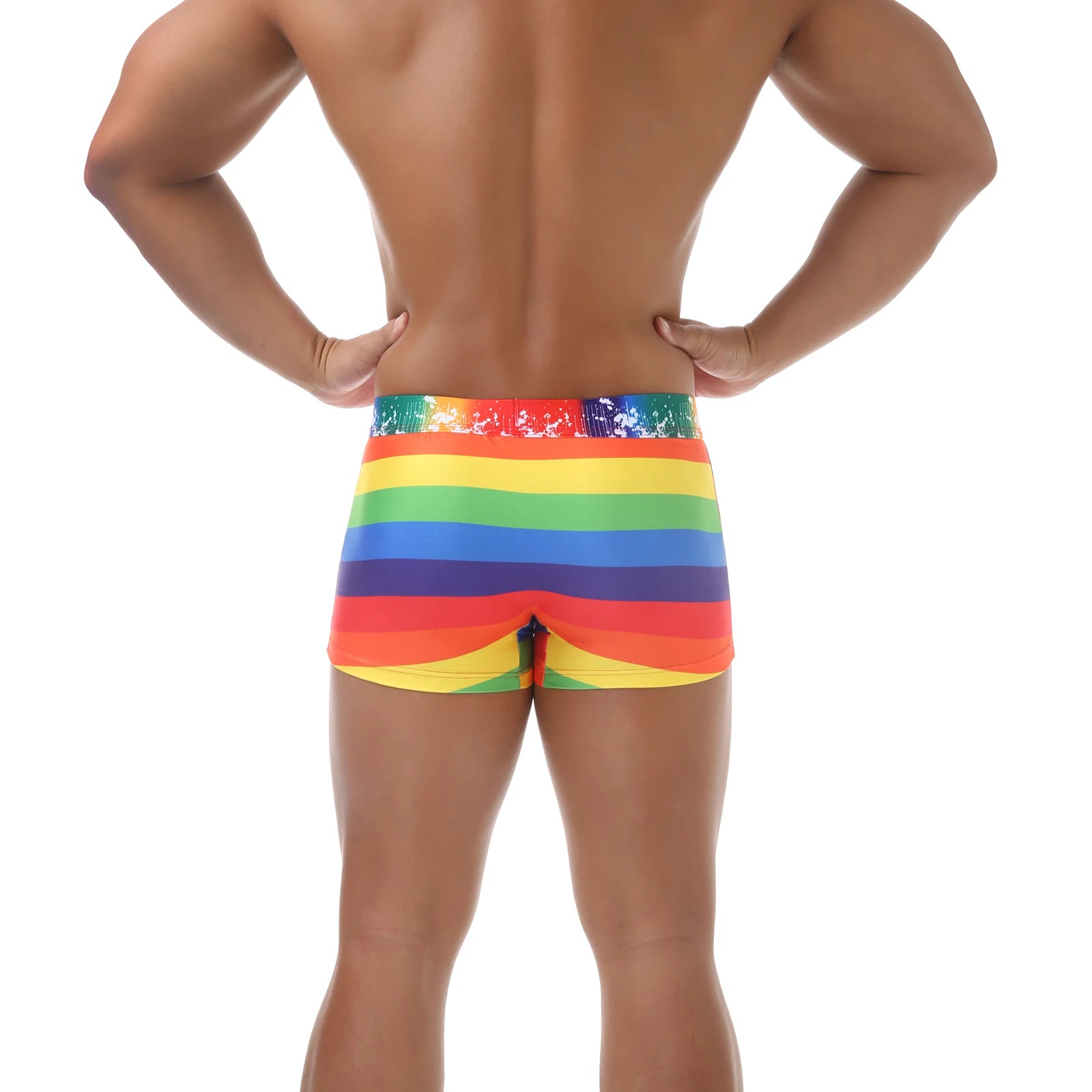 Men's Rainbow Swimwear Sexy Comfortable Polyamide Knit Trunks