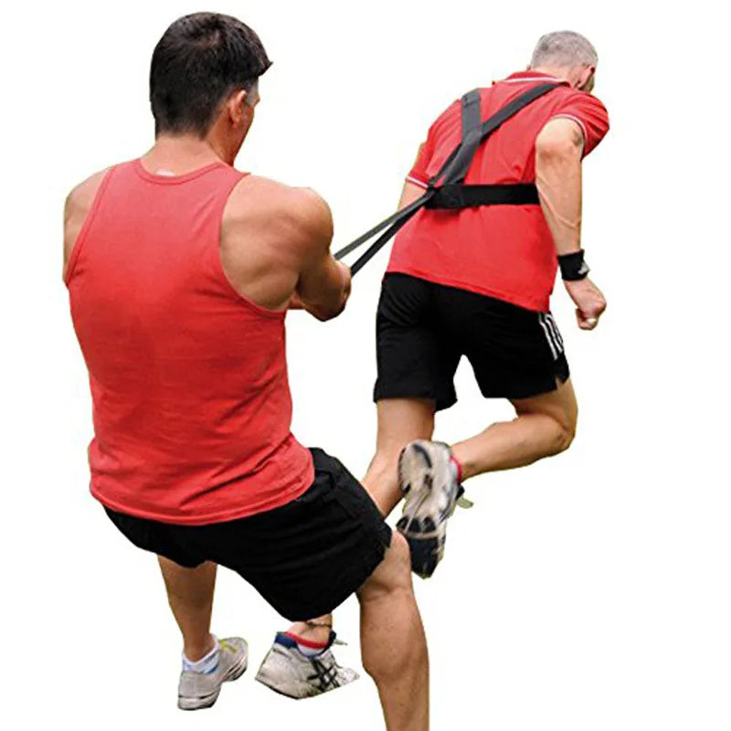 Pull Sled Harness